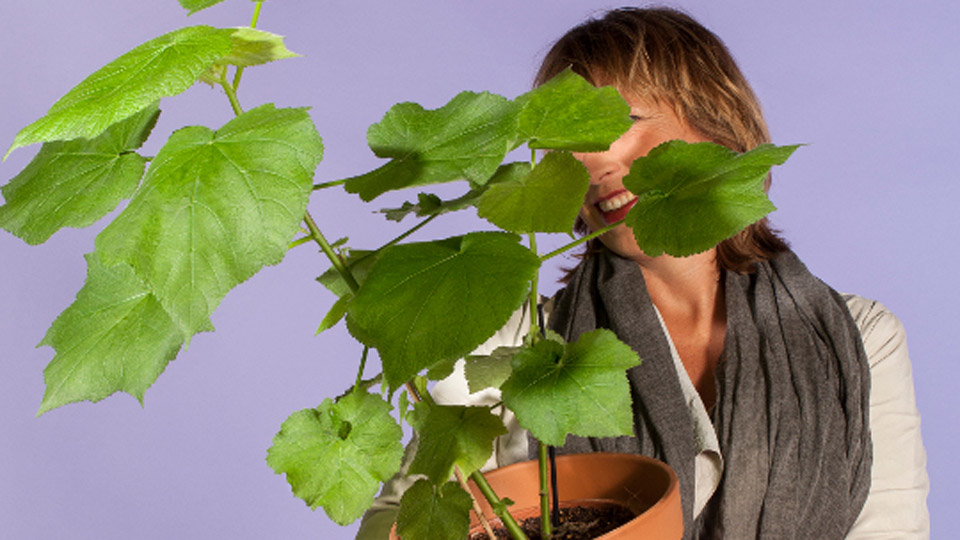 [Interview] Monique Kemperman over planten als vrouwenmagneet en Maxim Hartman